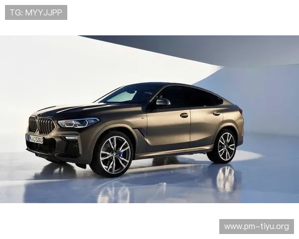 X6宝马会车主俱乐部最新动态与豪华车型交流分享平台
