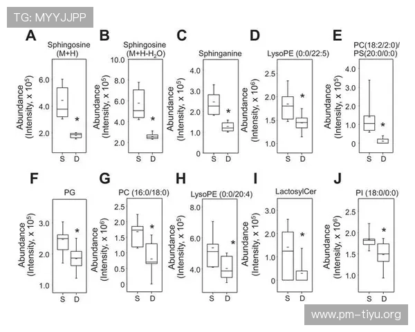 探索PG电子最新玩法技巧与高收益策略全攻略