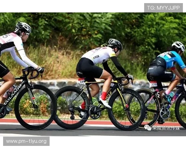 摩登体育2全新升级版精彩赛事与运动潮流全面解析