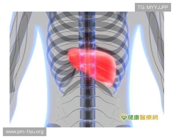 178体育全面解析最新赛事资讯与运动健康全攻略指南