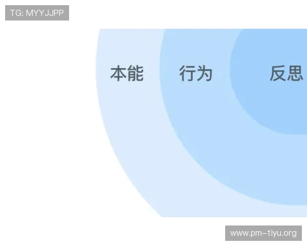 以488体育为核心的体育娱乐平台发展与用户体验全面解析深度