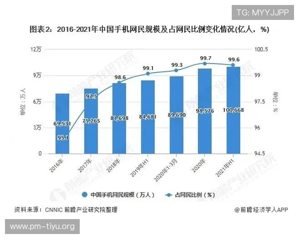 以体育博彩网站为核心的行业发展与风险监管研究分析及趋势探讨